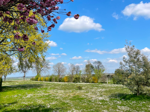 parc avec vue